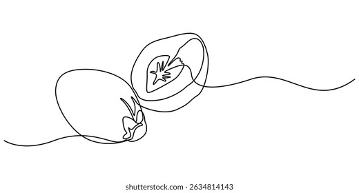 nombre científico Areca catechu, aislado en el fondo blanco, Ilustración vectorial, verde, Colección de los iconos de la nuez de betel, Vector editable y redimensionable.