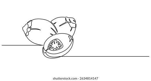 nombre científico Areca catechu, aislado en el fondo blanco, Ilustración vectorial, verde, Colección de los iconos de la nuez de betel, Vector editable y redimensionable.
