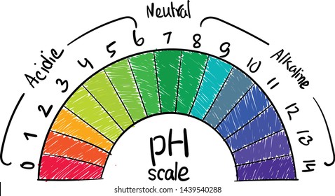 Scientific pH scale for kids, educational, vector, modern art 