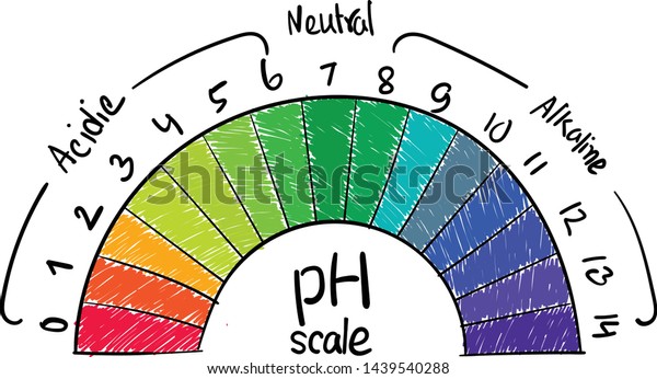 Scientific pH scale for kids, educational, vector,\
modern art 