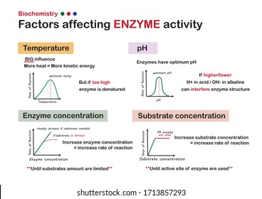 scientific poster show biochemistry explain about factors that affecting enzyme activity