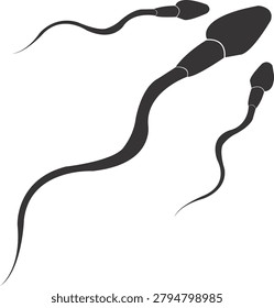 Scientific vector illustration of human sperm cells representing fertility, reproduction, genetics, embryology, healthcare education, and biological research concepts.
