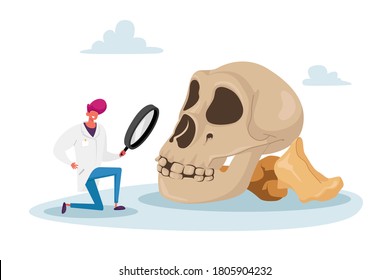 Scientist Character Watching through Magnifying Glass on Huge Human Skull. Anthropologist Working on Excavations Exploring Ancient Artifact. Student Study Prehistory Ages. Cartoon Vector Illustration