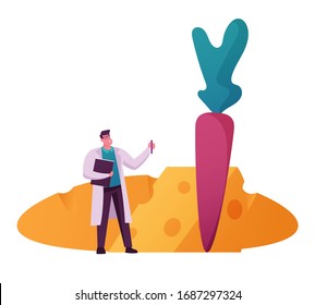 Scientist Character in White Lab Coat with Test Tube at Huge Carrot and Cheese. Haccp Hazard Analysis and Critical Control Point. Standard Certification Quality Control. Cartoon Vector Illustration