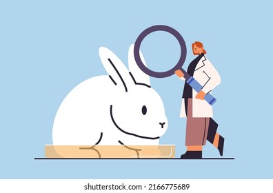 scientist doing experiments in lab with animal veterinary worker with experimental rabbit biological genetic engineering research