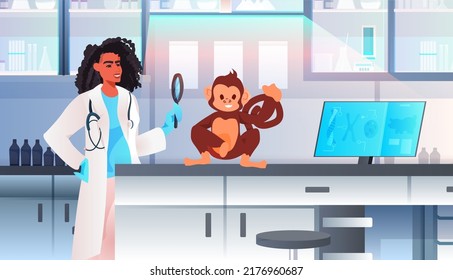 científico haciendo experimentos en una trabajadora veterinaria de laboratorio con investigación experimental de ingeniería genética biológica de monos