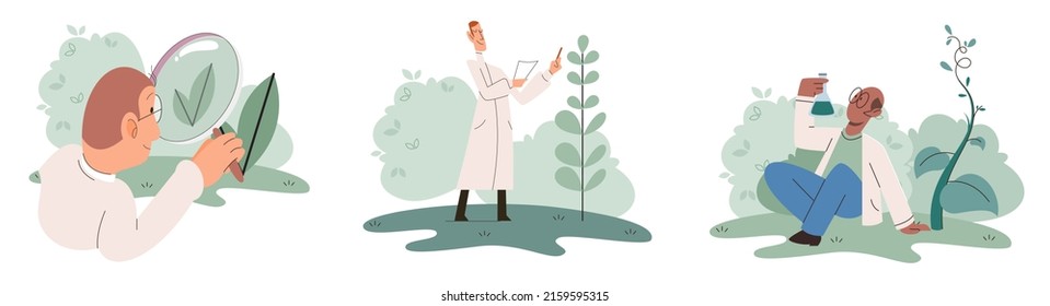 Scientist explores vegetable life and plants in nature. Biologists in forest studying biological species and environment. Explorer conducts experiments takes care of ecology and endangered green herb