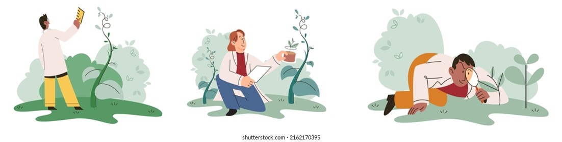 Scientist explores vegetable life and plants in nature. Biologists in forest studying biological species and environment. Explorer conducts experiments takes care of ecology and endangered green herb