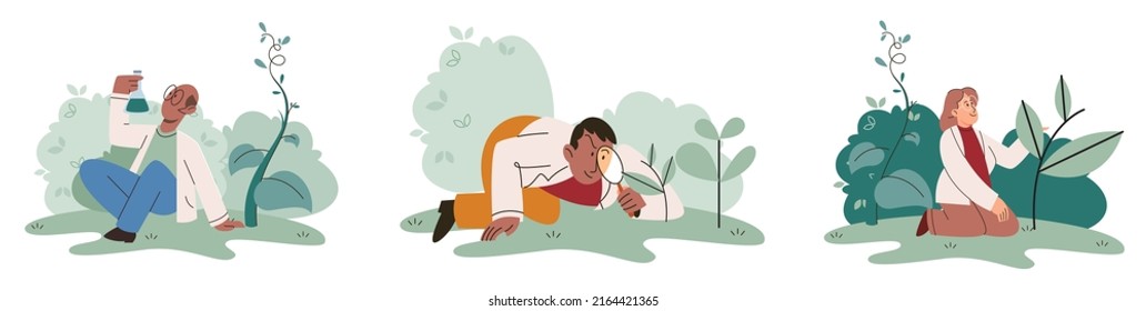 Scientist explores vegetable life and plants in nature. Biologists in forest studying biological species and environment. Explorer conducts experiments takes care of ecology and endangered green herb