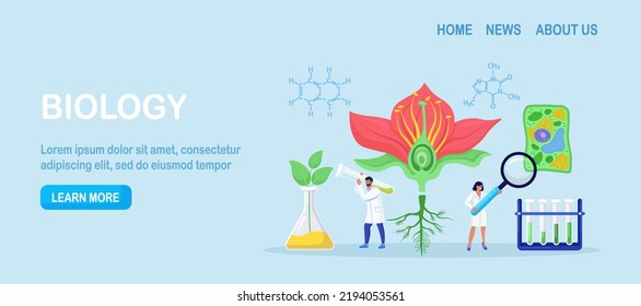 Scientist exploring nature. Botany, microbiology, biology. Science research lab. Scientists make laboratory analysis of life system, living organisms, plant cell. Molecular engineering, bioengineering