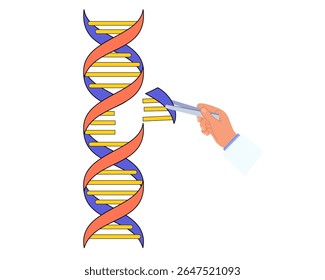 cientista mão removendo ou adicionando um pedaço de molécula de DNA cadeia CRISPR e ilustração médica do vetor de edição de genes	
