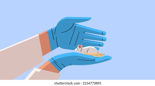 Scientist Hands Doing Experiments In Lab With Experimental Rat Biological Genetic Engineering Research At Laboratory