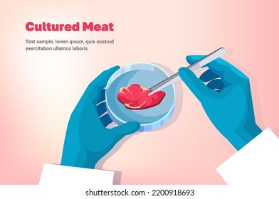 scientist holding cultured red raw meat made from animal cells artificial lab grown meat production concept