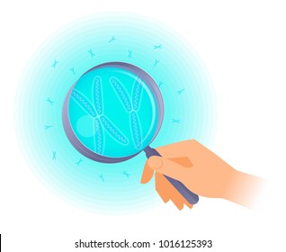 The scientist holds a magnifier and researches x, y chromosome. Flat vector illustration of hand holding a magnifying glass and human chromosomes. Science, medical, genetics, and reproduction concept.