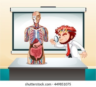 Illustration von Wissenschaftlern und menschlichen Anatomie