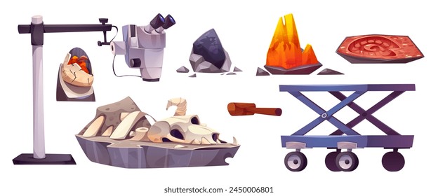 Scientist lab room with dinosaur fossil vector. Archaeologist laboratory in prehistoric museum with evolution evidence examine. Paleontologist research cabinet for analysis and study with magnifier