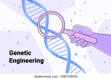 Wissenschaftler, der die DNA durch Vergrößerungsglas-Forscher untersucht, experimentiert mit DNA-Tests im Labor