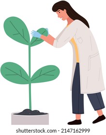 Scientist makes analysis of life organism, nature. Idea of education, botany, microbiology. Biologist conducting scientific experiment with plant. Research with sprout, science vector illustration