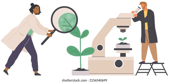 Scientist makes laboratory analysis of life system and organisms. Idea of education, botany, microbiology. Biologist studies plant cell with microscope. Biological research with lab equipment