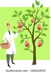 Scientist picking ham from a tree as a metaphor for plant-based meat substitutes, EPS 8 vector illustration