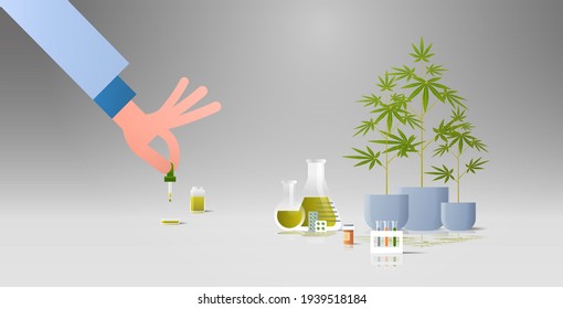 análisis científico de aceite de cáñamo cbd extraído de una farmacia de cuidado de la salud de planta de marihuana del concepto de industria farmacéutica de cannabis médico plano horizontal