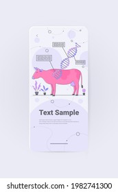 scientist working with DNA of cow researcher making experiment in lab genetically modified animals concept
