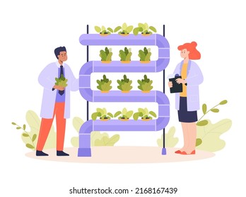 Scientists or biologists growing plants in hydroponic farm. Potted plants in vertical water pipeline flat vector illustration. Agriculture, farming or gardening concept for banner or landing web page