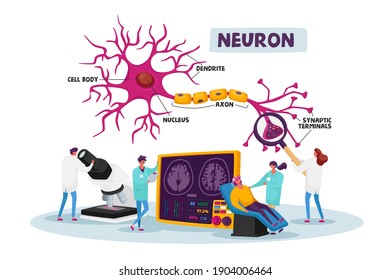 Scientists Characters Wearing White Medical Robe Learning Human Brain in Laboratory with Scheme of Dendrite, Cell Body, Axon and Nucleus with Synaptic Terminals. Cartoon People Vector Illustration svg