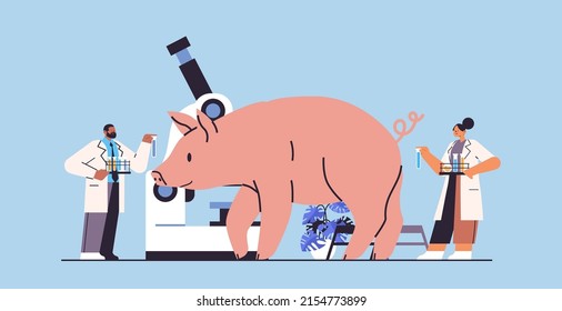scientists doing experiments in lab with animals veterinary workers with experimental pig biological genetic engineering research