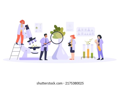 Scientists Examining Plants Lab Flat Vector Stock Vector Royalty Free Scientists Examining Plants Lab Flat Vector Stock Vector Royalty Free