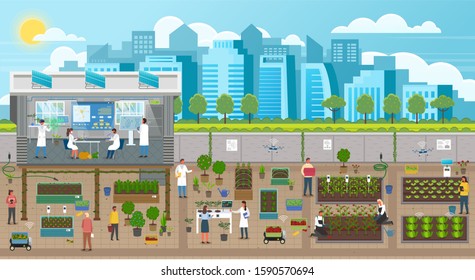 Scientists growing plants in city, urban agriculture in town with developed infrastructure. Farming and new crops engineering. Farmers using energy produced by solar panels in urban gardening, vector