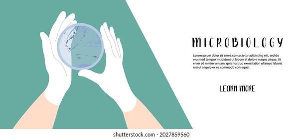 Scientist's hand in glove holding Petri dish, plate with agar, bacterial colony. Bacteriology. Microbiology. Laboratory test, bacteriological swab, chemical analysis. Vector flat cartoon illustration