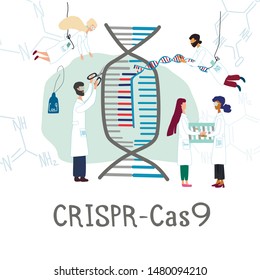 Scientists illustrated how CRISPR CAS9  works. Gene editing tool research . Genome sequencing and genetic engineering concept in vector. Human genome project.