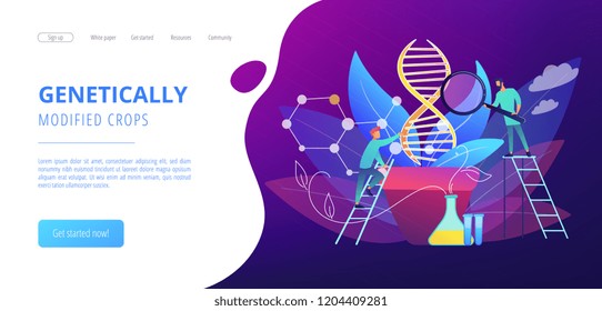 Scientists with magnifier looking at huge DNA in the pot. Genetically modified plants, GM crops and biotech crops concept on white background. Website vibrant violet landing web page template.