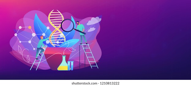 Scientists with magnifier looking at huge DNA in the pot. Genetically modified plants, GM crops and biotech crops concept on white background. Header or footer banner template with copy space.
