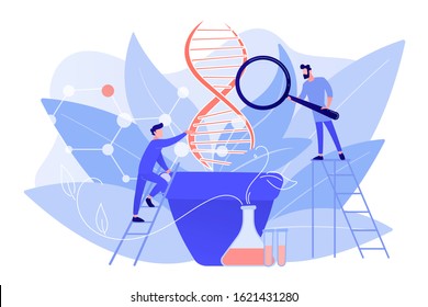 Scientists with magnifier looking at huge DNA in the pot. Genetically modified plants, GM crops and biotech crops concept on white background. Pinkish coral bluevector isolated illustration