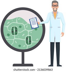 Scientists make laboratory analysis of life system and organisms. Idea of education, botany, microbiology. Biologists study structure of plant cell. Biological research with green sample in lab