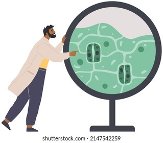 Los científicos hacen análisis de laboratorio de sistemas de vida y organismos. Idea de educación, botánica, microbiología. Los biólogos estudian la estructura de las células vegetales. Investigación biológica con muestra verde en laboratorio