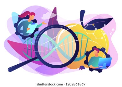 Scientists working with magnifier and apple DNA. Genetically modified foods, GM foods and genetically engineered foods concept on white background. Bright vibrant violet vector isolated illustration