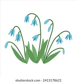 Scilla spring flowers isolated in flat cartoon design. Beautiful tender blue blooming wildflowers with green fresh leaves and buds. Springtime season romantic first plant. Vector illustration isolated