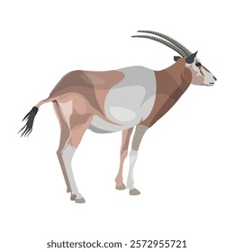 Scimitar horned oryx. Antelope with long horns. Side view. Wild animals of Africa. Vector illustration isolated on a white background.