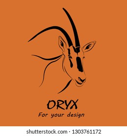 Scimitar-Horned Oryx (Oryx dammah) Isolated from the orange background.