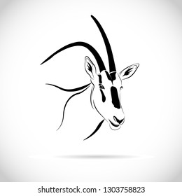 Scimitar-Horned Oryx (Oryx dammah) Isolated from the white background. 