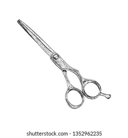 Scissor illustration in hand drawn vector 