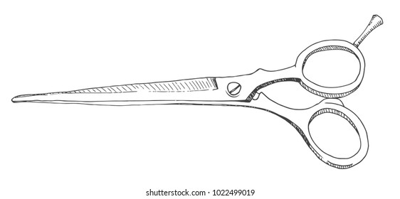 Scissors. Barber accessory. The sketch marker. Vector