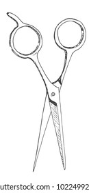 Scissors. Barber accessory. The sketch marker. Vector