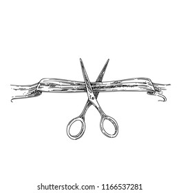 Scissors cutting the tape. Engraving style. Vector illustration.