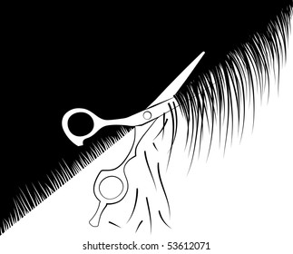 Scissors hairdresser