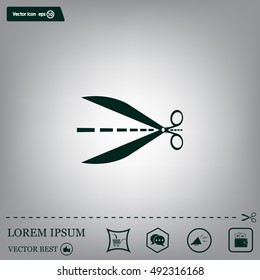 Scissors icon, vector illustration. Flat design style