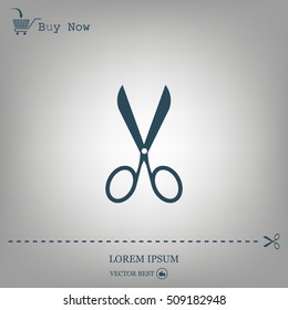 Scissors icon, vector illustration. Flat design style